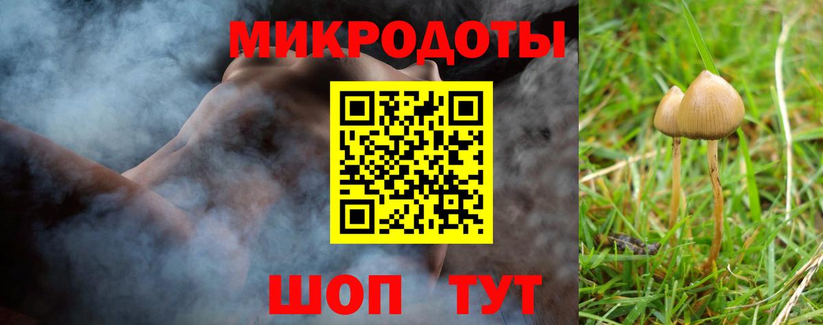 Псилоцибиновые грибы мухоморы  Галлюциногенные грибы мухоморы  Вход с VPN  продажа наркотиков  Чебоксары 