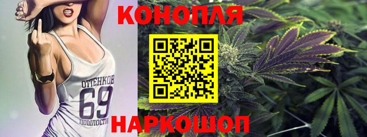 Бошки Шишки план Чебоксары